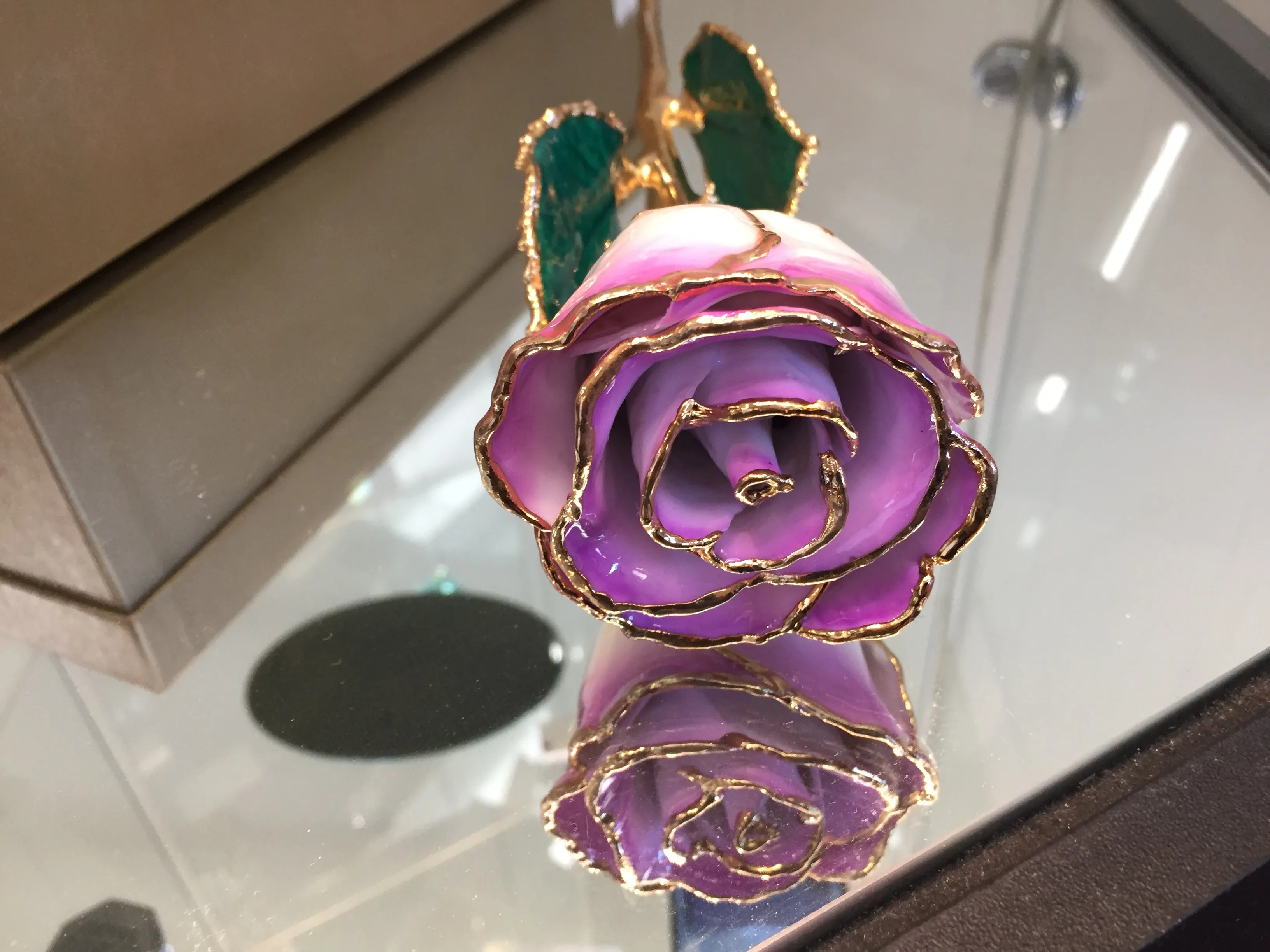 24K Gold Rose Cream Color