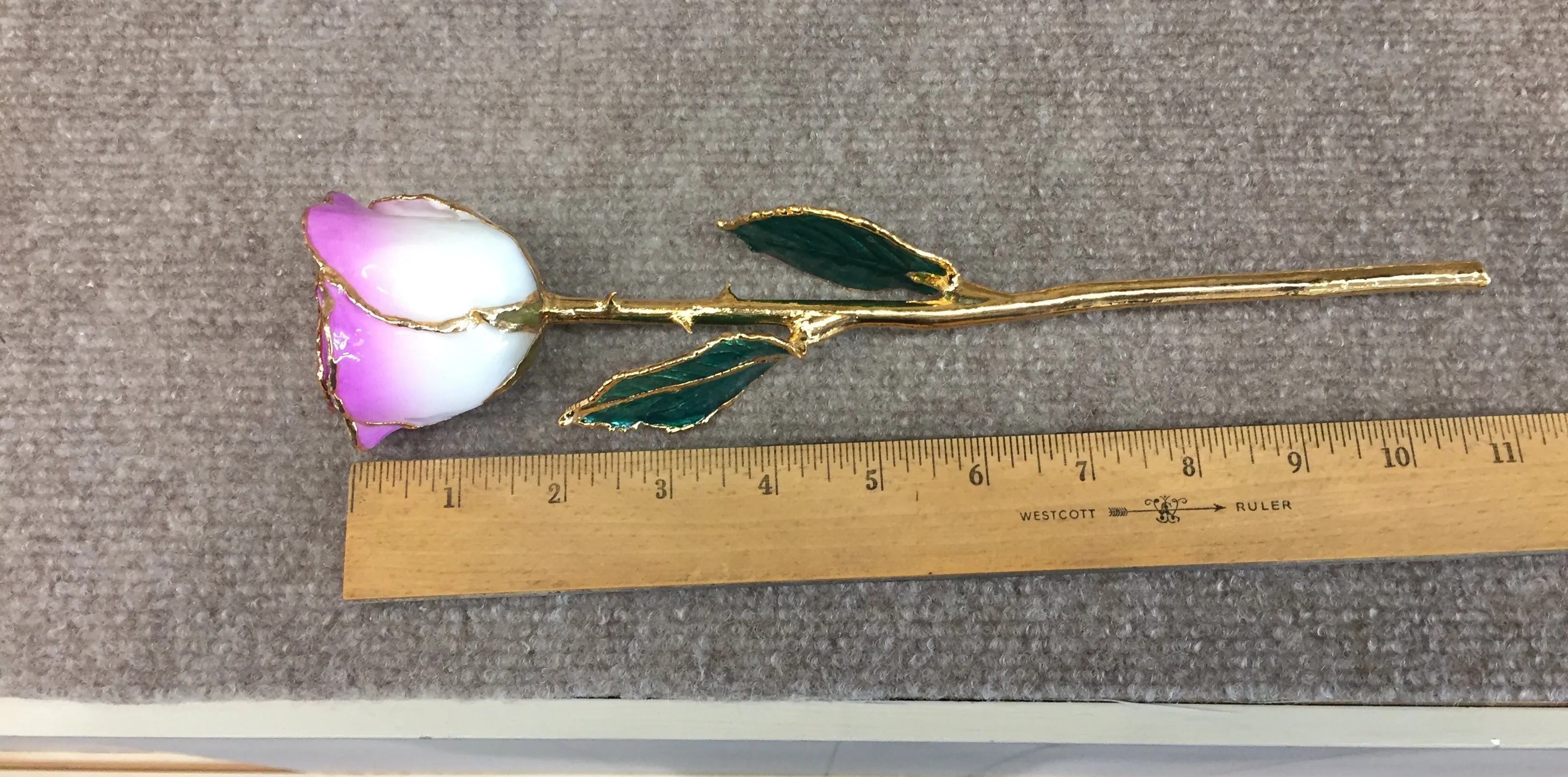 24K Gold Rose Cream Color