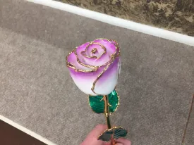 24K Gold Rose Cream Color
