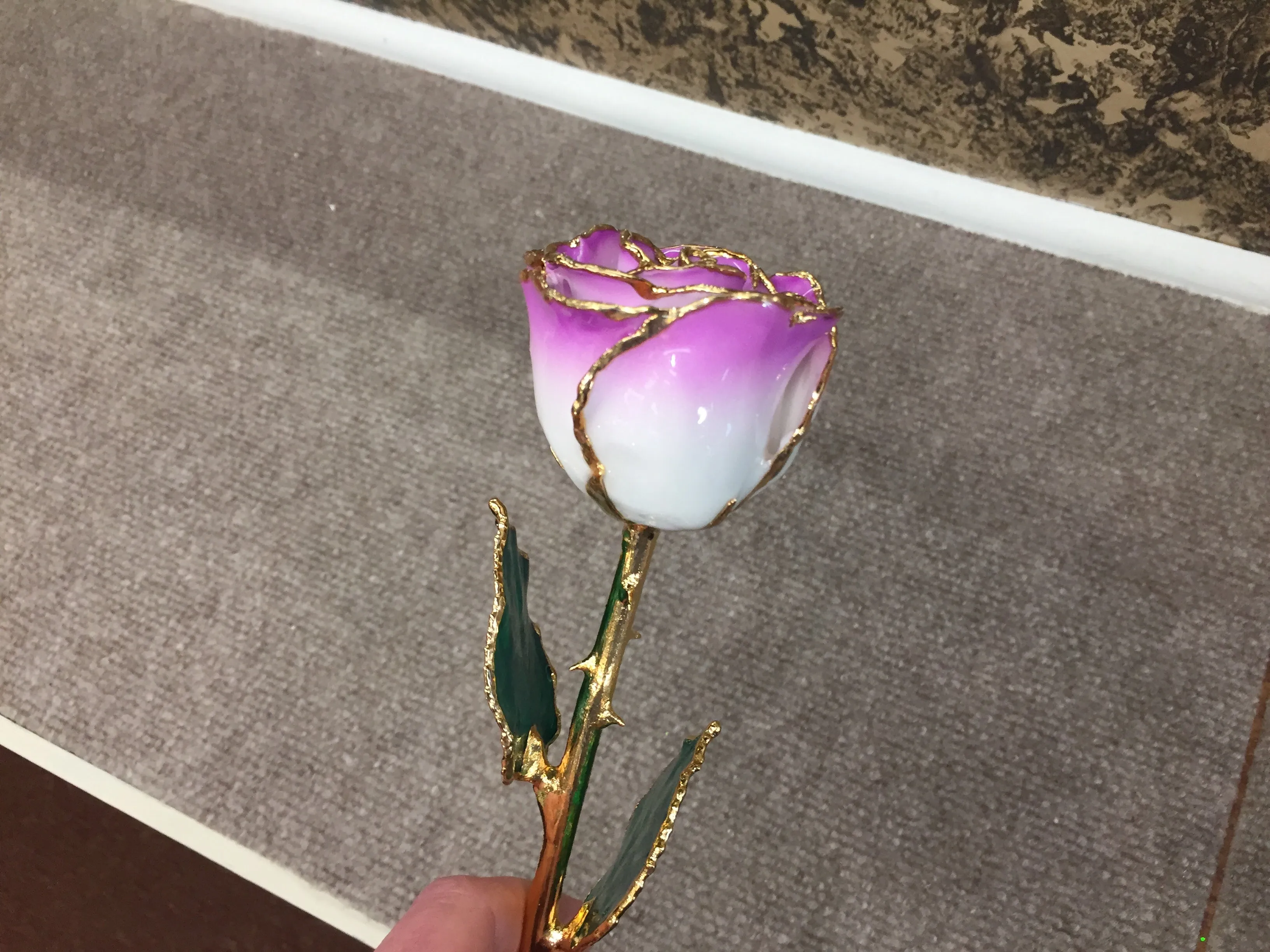 24K Gold Rose Cream Color