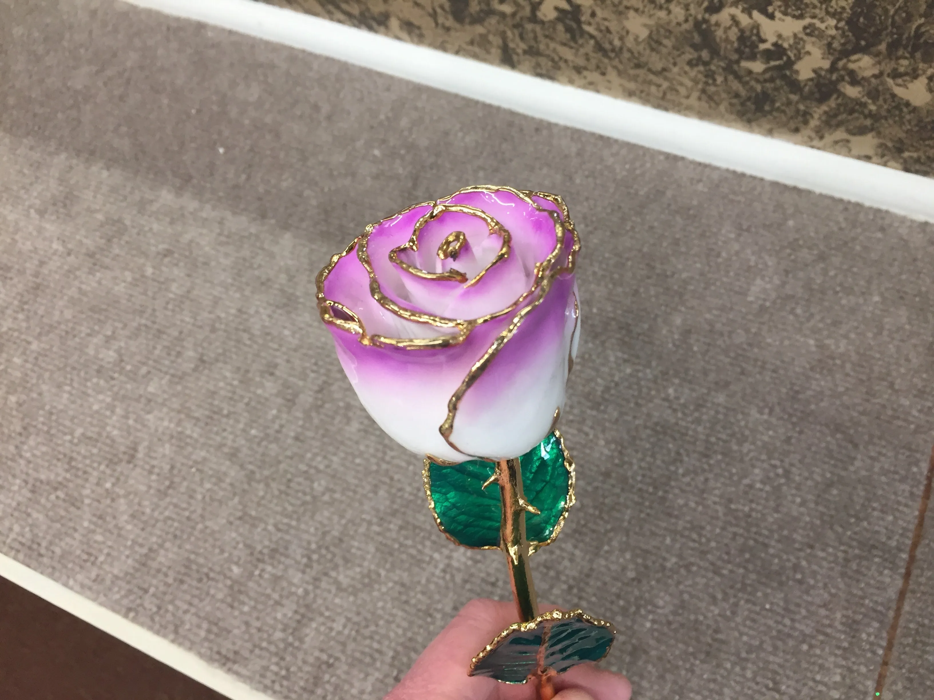 24K Gold Rose Cream Color