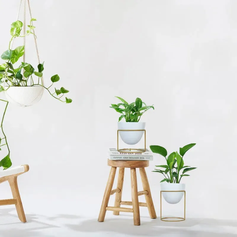 Alle Metal Plant Pot with Stand | Set of 2 | Multiple Colors