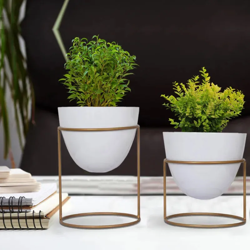 Alle Metal Plant Pot with Stand | Set of 2 | Multiple Colors