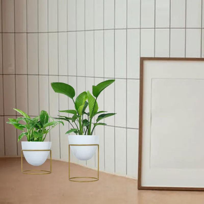 Alle Metal Plant Pot with Stand | Set of 2 | Multiple Colors