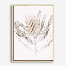 Banksia III Photo Canvas Print