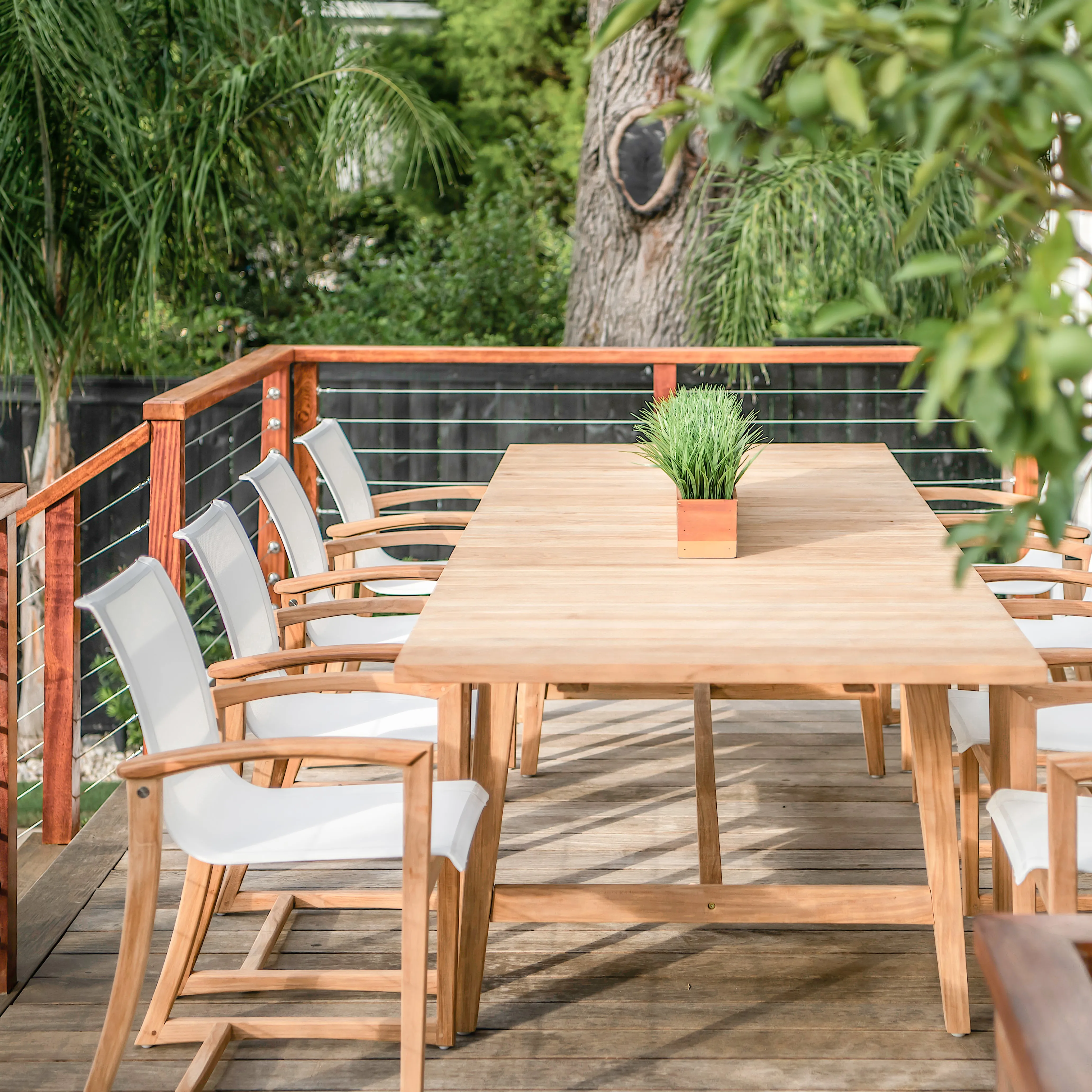 Capri Dining Chair