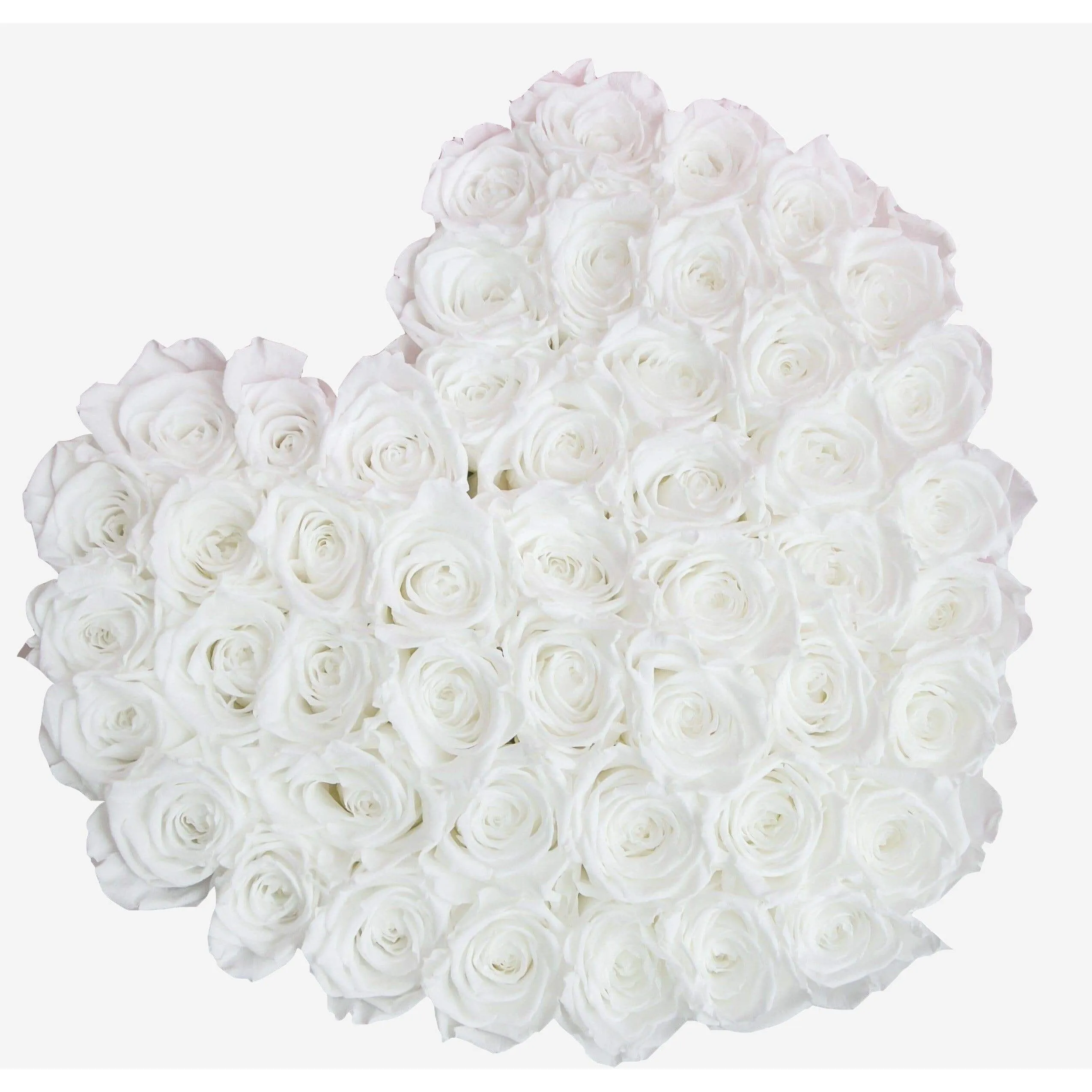 Heart Black Box | White Roses