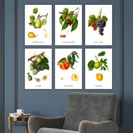 Vintage Watercolor Fruit Canvas on White