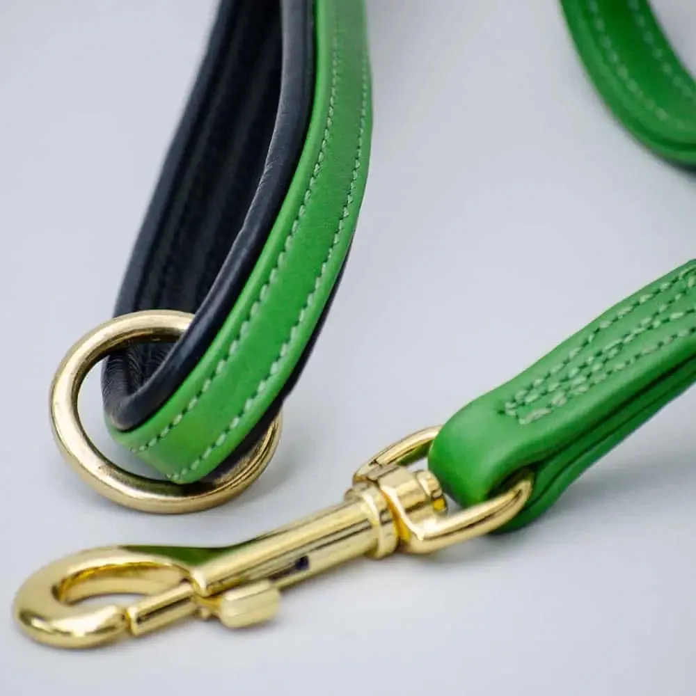 Weich gepolsterte Leine "Color" - green