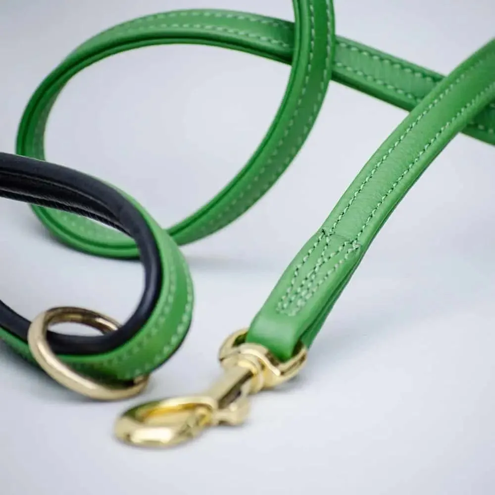 Weich gepolsterte Leine "Color" - green