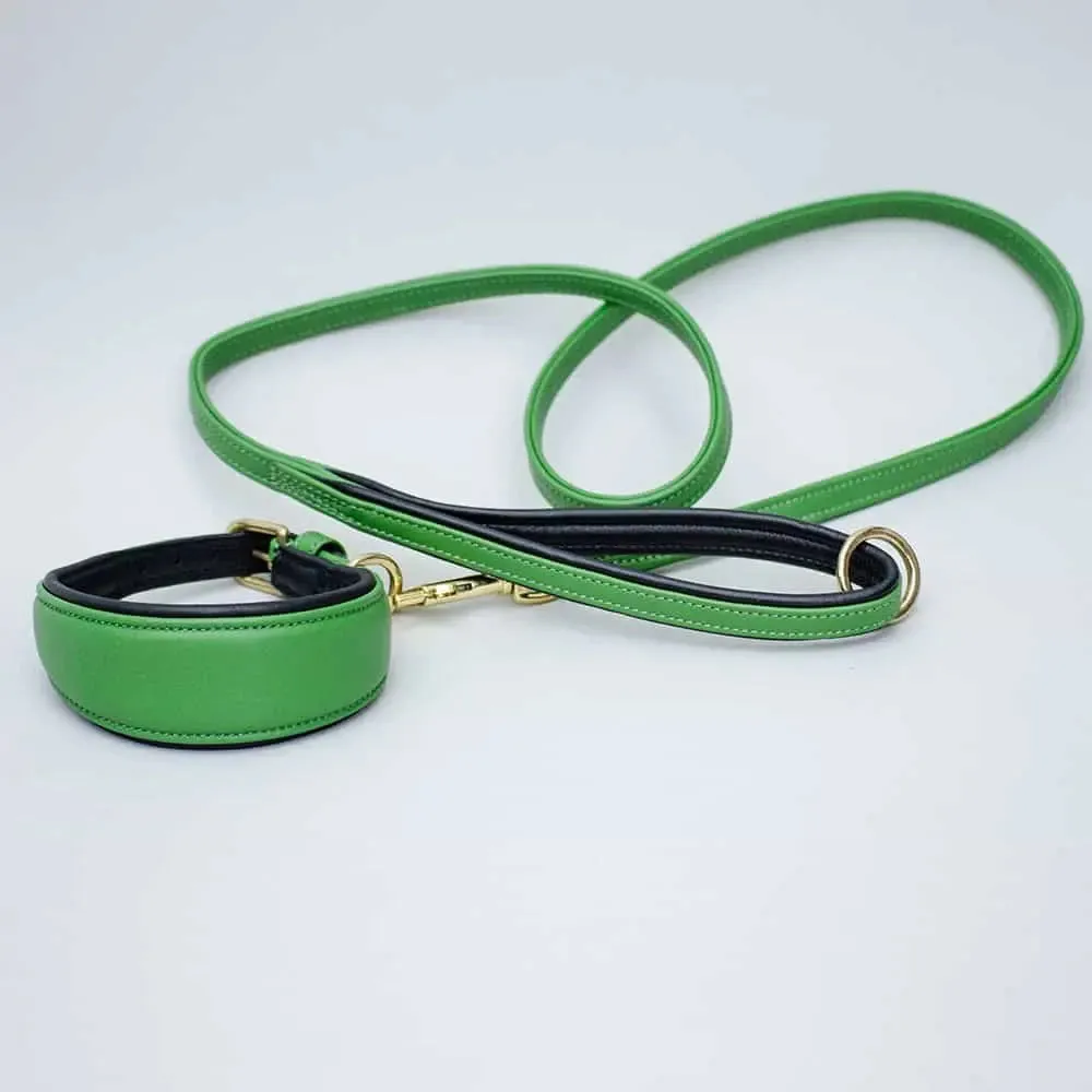 Weich gepolsterte Leine "Color" - green